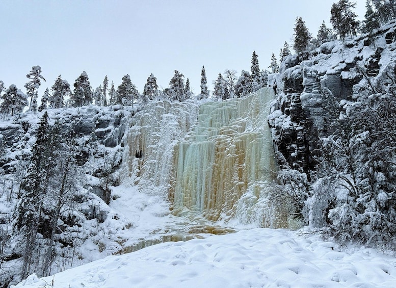 A snow-covered waterfall surrounded by trees. 2