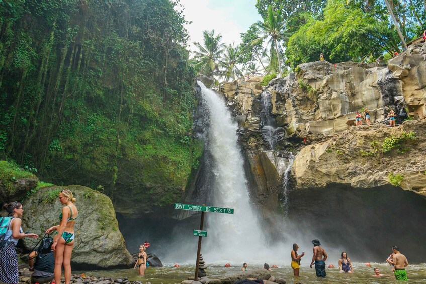 Una cascata, palme e persone in acqua. 5