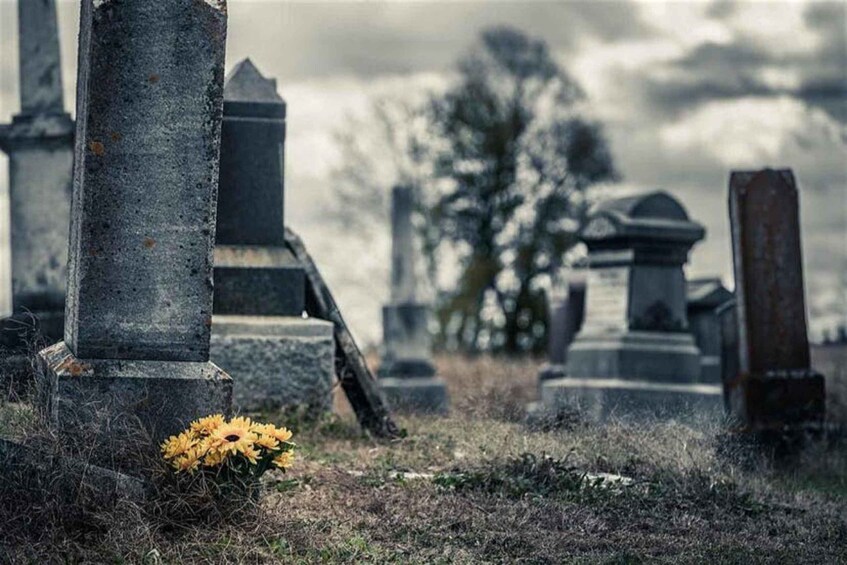 Un cimitero con lapidi e un fiore giallo in primo piano. 2