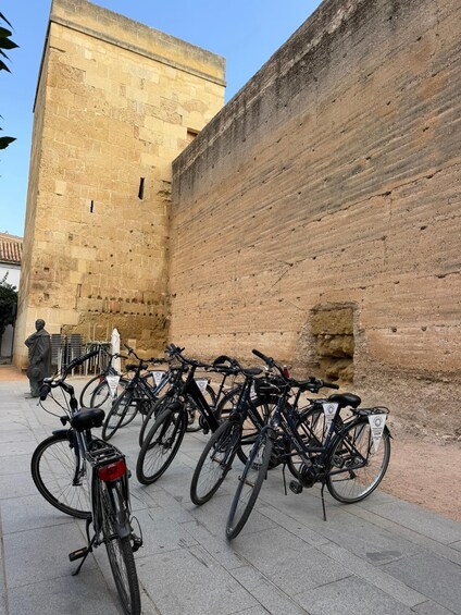 Picture 14 for Activity Córdoba Daily Highlights Bike Tour 2