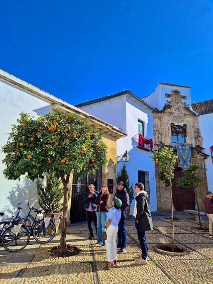 Picture 2 for Activity Córdoba Daily Highlights Bike Tour 5