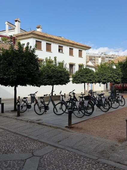 Picture 7 for Activity Córdoba Daily Highlights Bike Tour 4