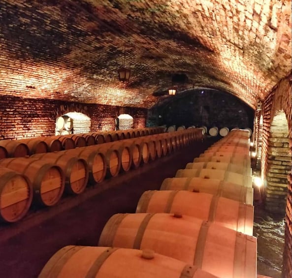 A subterranean wine cellar with rows of wooden barrels and brick walls. 4