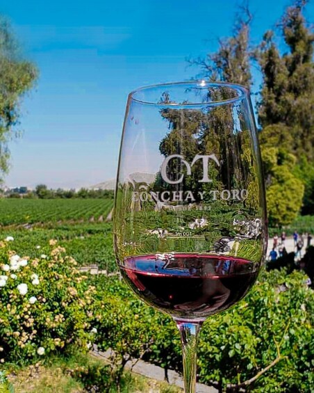 A wine glass with 'CYT' and 'FONCHAY TORO' engraved, set against a vineyard backdrop. 1