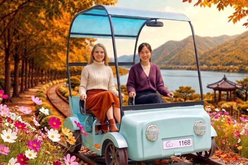 Nami Island, K-garden and Gangchon Rail Bike tour from Seoul 1