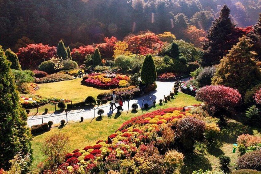 Nami Island, K-garden and Gangchon Rail Bike tour from Seoul 5