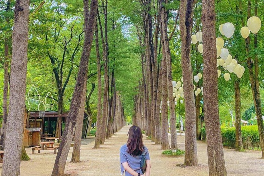 Nami Island, K-garden and Gangchon Rail Bike tour from Seoul 3