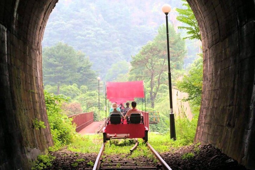 Nami Island, K-garden and Gangchon Rail Bike tour from Seoul 4