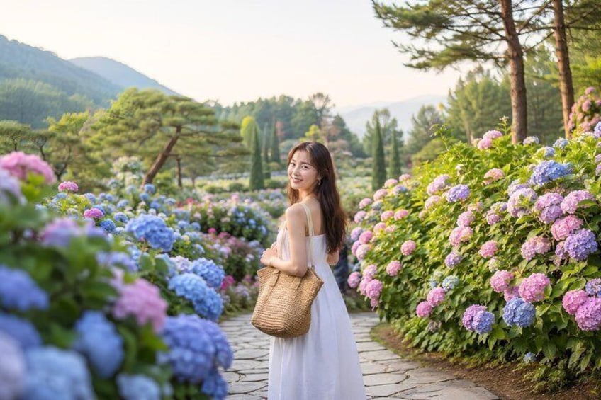 Nami Island, K-garden and Gangchon Rail Bike tour from Seoul 3