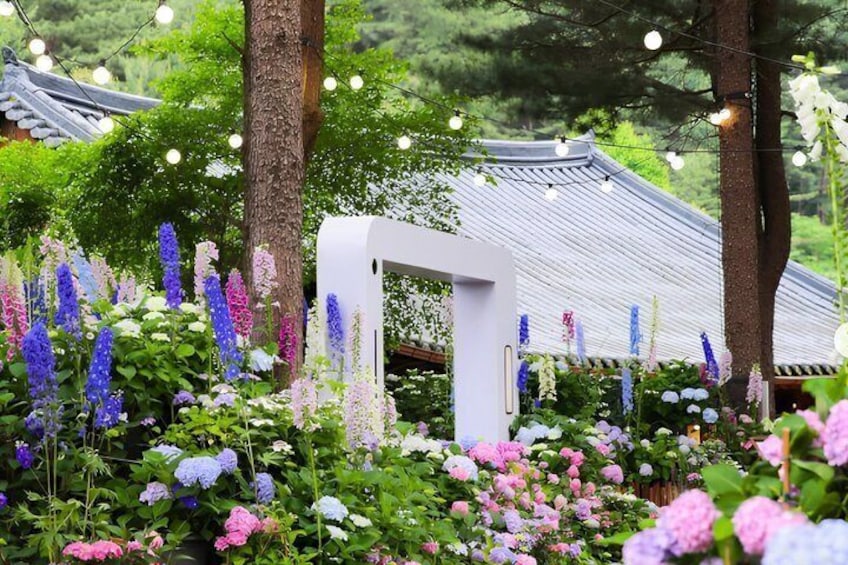 Nami Island, K-garden and Gangchon Rail Bike tour from Seoul 2