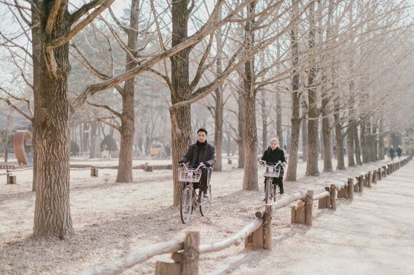 Nami Island, K-garden and Gangchon Rail Bike tour from Seoul 3