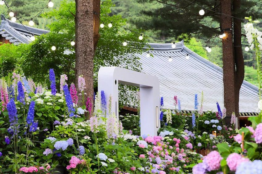 Nami Island, K-garden and Gangchon Rail Bike tour from Seoul 2