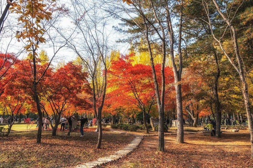 Nami Island, K-garden and Gangchon Rail Bike tour from Seoul 2