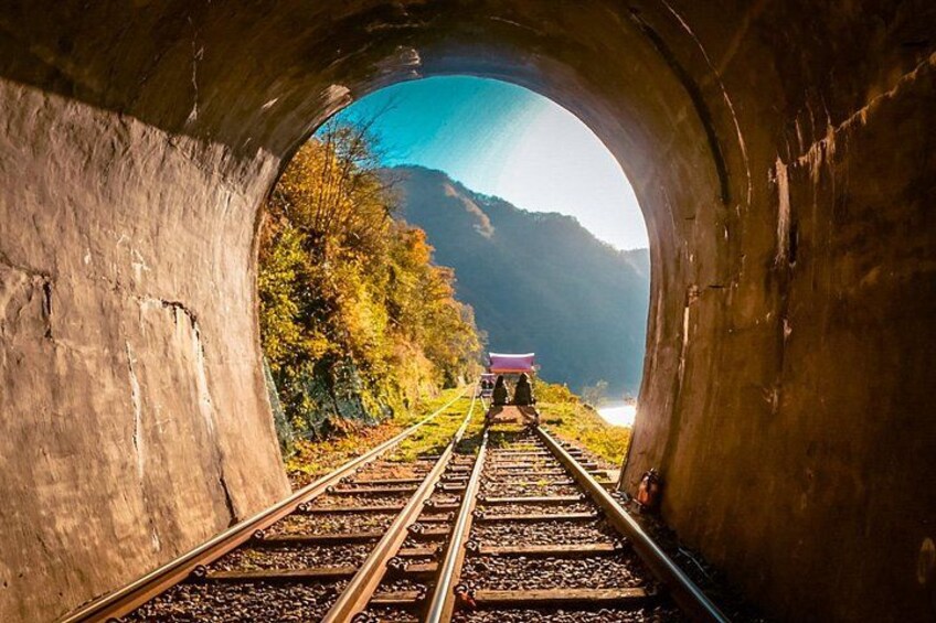Nami Island, K-garden and Gangchon Rail Bike tour from Seoul 3