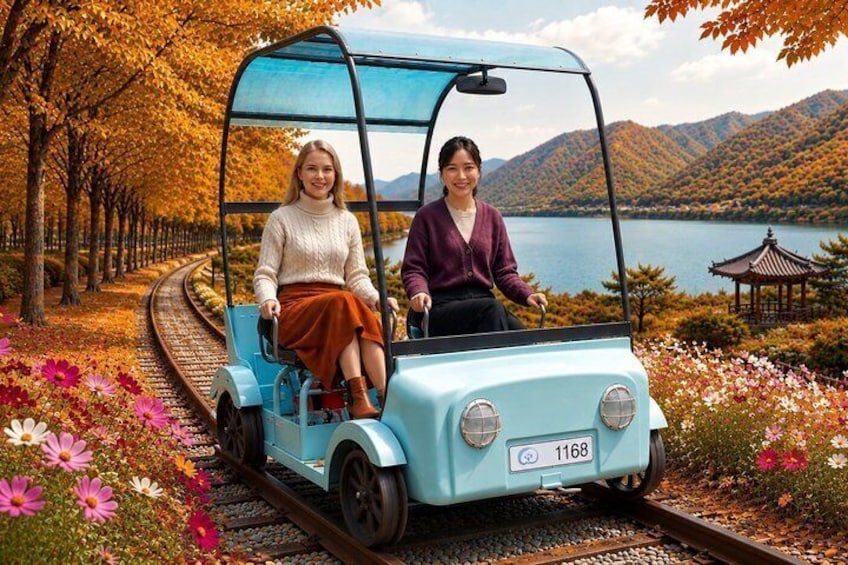 Nami Island, K-garden and Gangchon Rail Bike tour from Seoul 1
