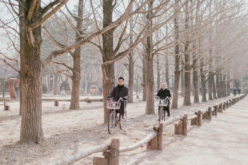 Nami Island, K-garden and Gangchon Rail Bike tour from Seoul 2
