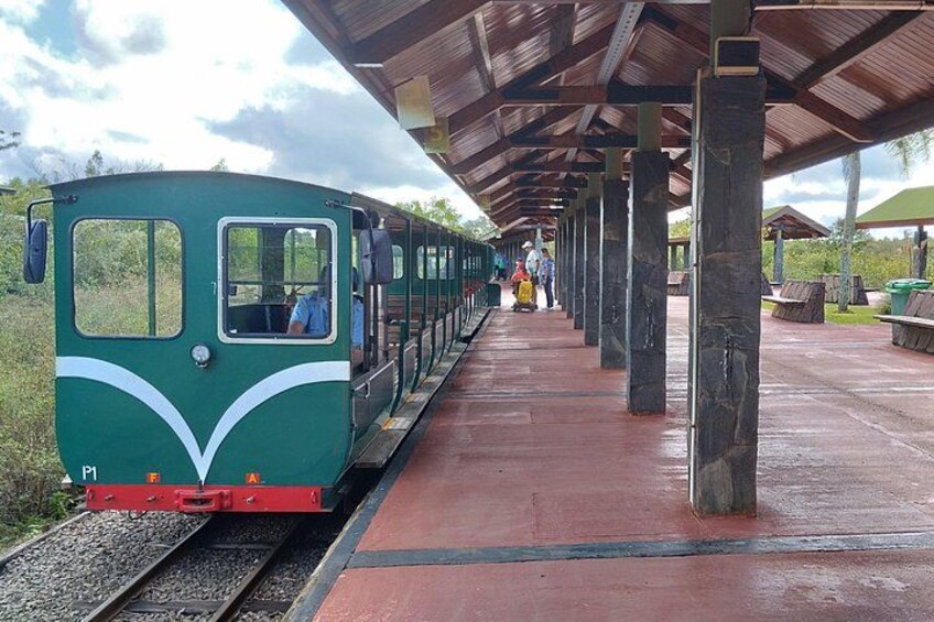A green train with white stripes on the side, parked at a station with a covered platform. 4