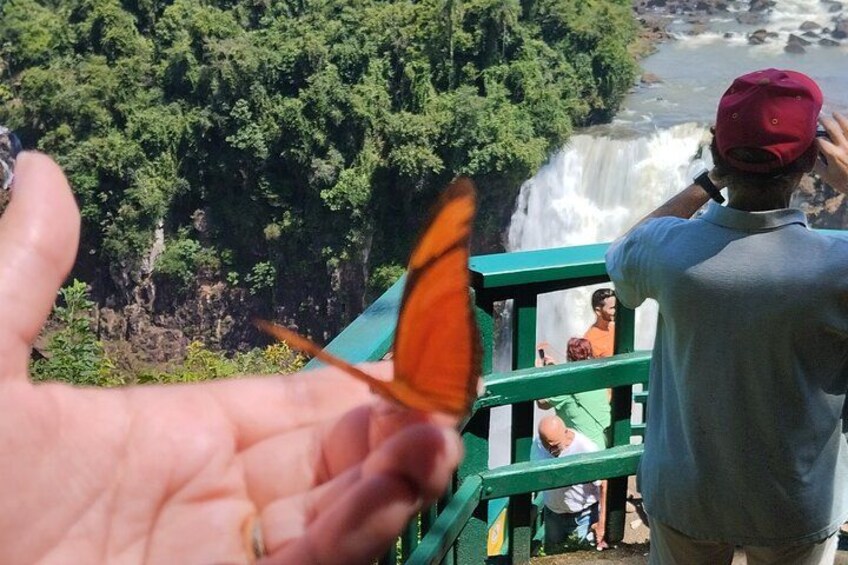 A person holding a butterfly, a waterfall, and a person taking a photo. 4