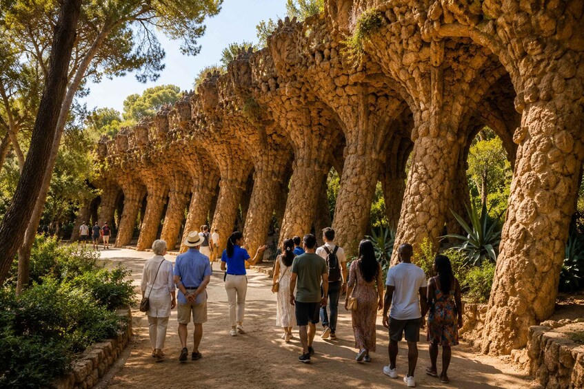 Un sentiero fiancheggiato da ampie formazioni rocciose, immerso tra alberi e vegetazione. 5