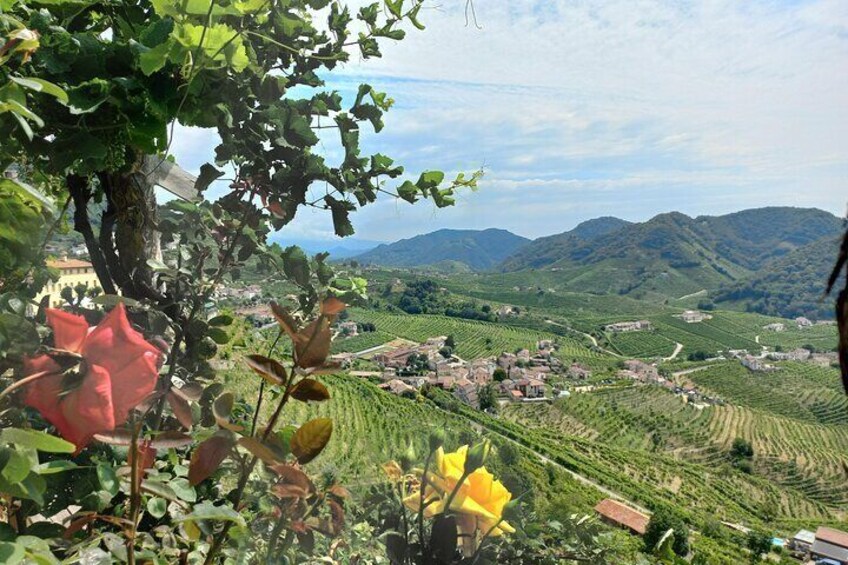 Prosecco Hills Guided Tour with Wine Tasting and Lunch