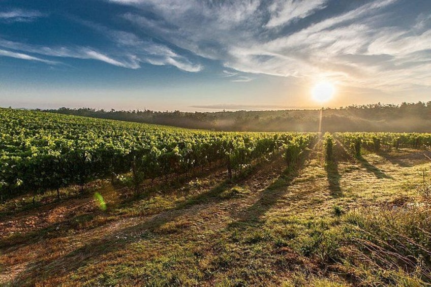 Valpolicella 2