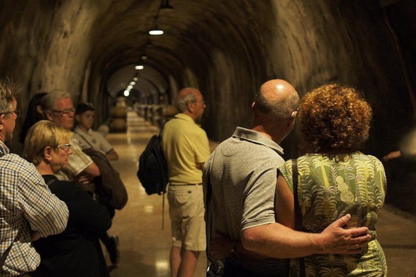 From Lake Garda: Full-Day Valpolicella Wine and Lunch Guided Trip 3