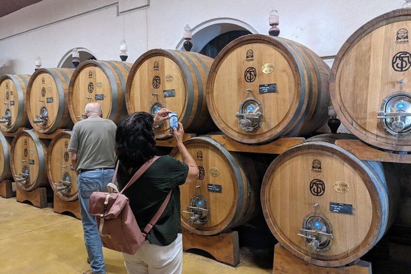 From Lake Garda: Full-Day Valpolicella Wine and Lunch Guided Trip 2
