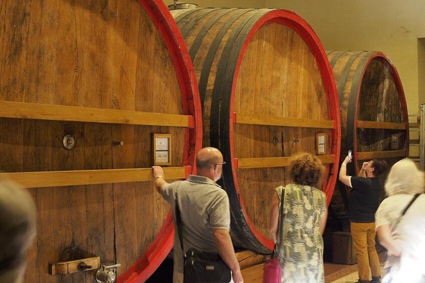 From Lake Garda: Full-Day Valpolicella Wine and Lunch Guided Trip 2