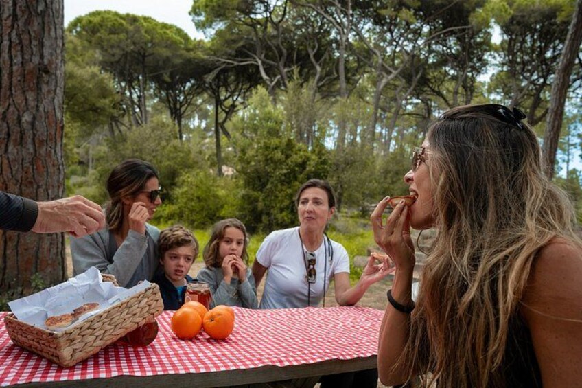 A group of people sitting at a picnic table outdoors with a basket of bread and oranges. 2