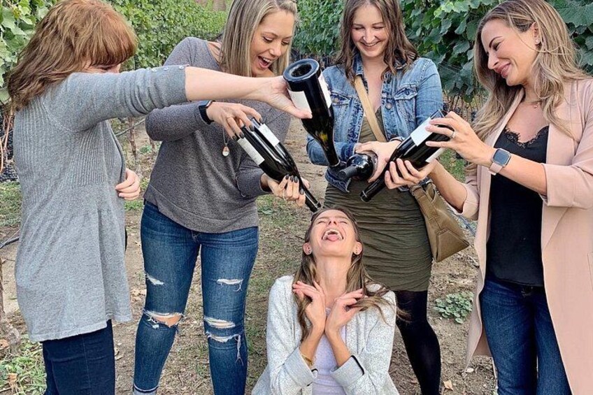 Okanagan Falls Wine Tour Full Day Guided With 5 Wineries 3