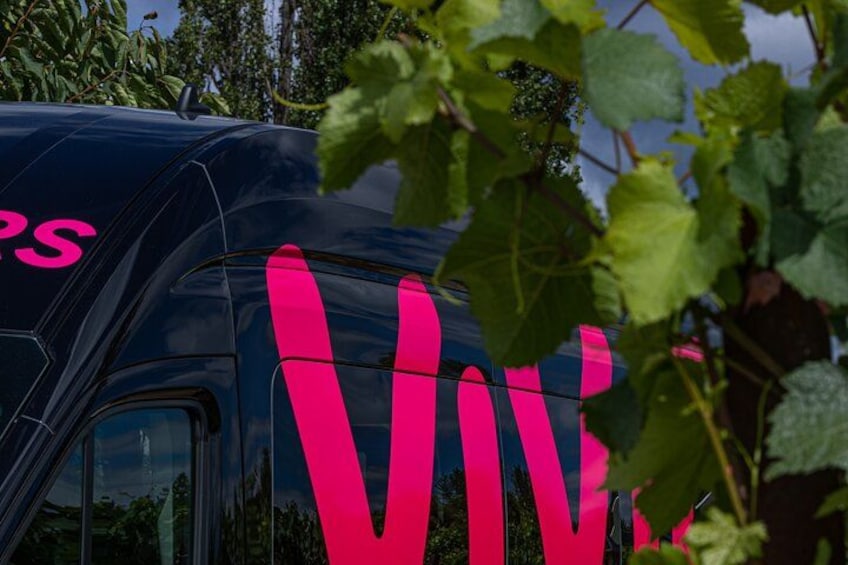 A vehicle with a large pink 'VIV' logo on its side. 2