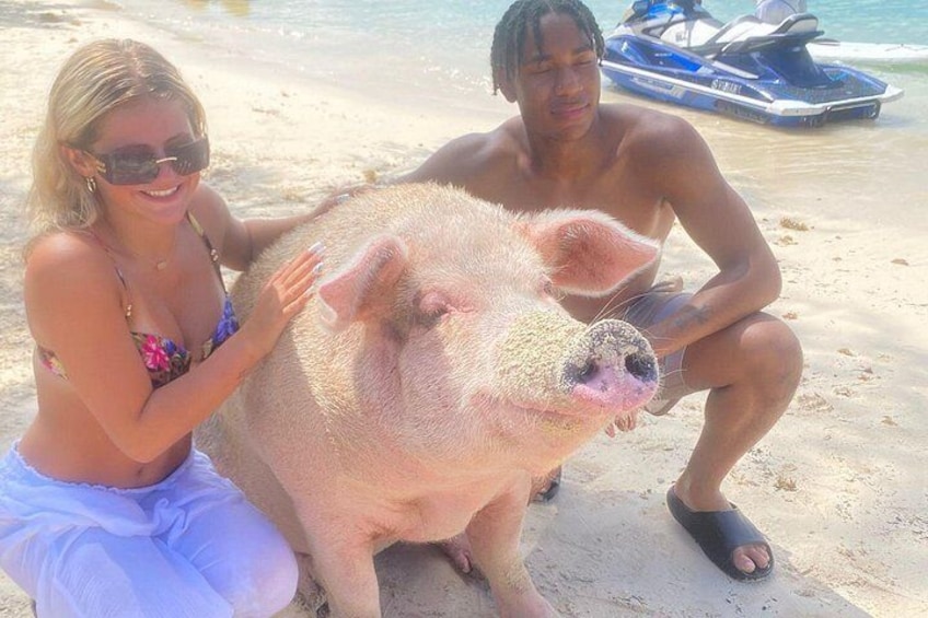 Self Drive Speedboat and Swim with the Pigs 2