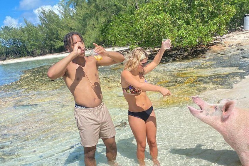 Self Drive Speedboat and Swim with the Pigs 3