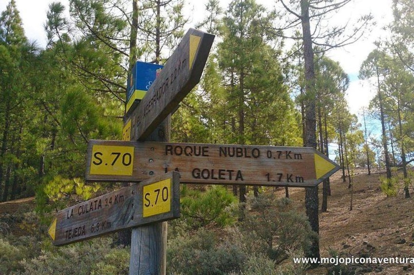 A wooden directional signpost in a forested area with multiple arrows pointing to different destinations and distances. 2