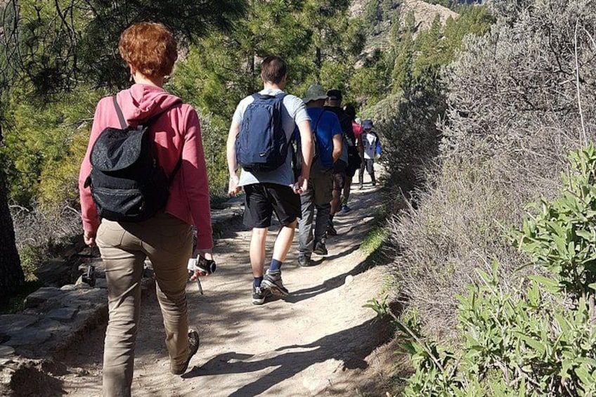 Hikers on a dirt trail surrounded by greenery. 5