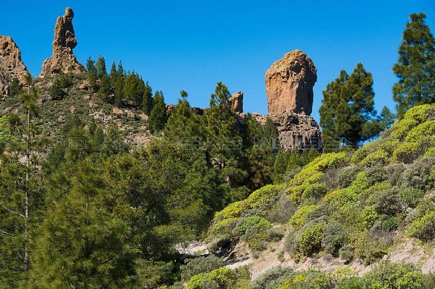 A rocky landscape with prominent rock formations and dense green vegetation. 1