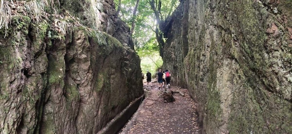 A narrow forest path flanked by moss-covered rock walls. 3