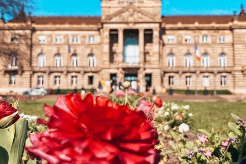 Strasbourg: small group walking tour between history and curiosities 2