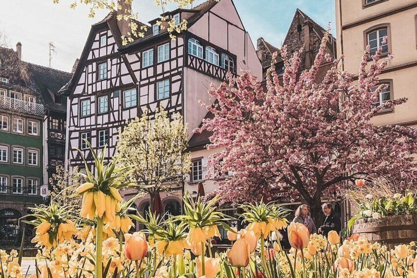 Guided Walking Tour in Strasbourg between History and Curiosities 3