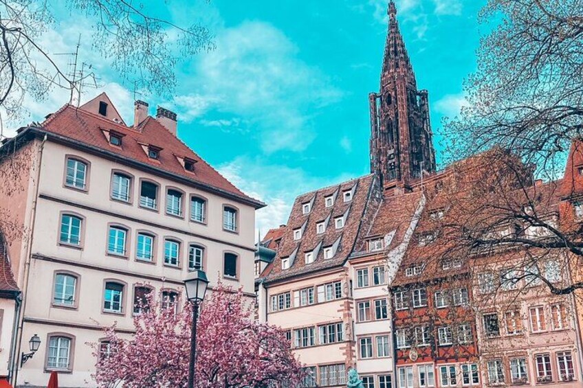 Strasbourg: small group walking tour between history and curiosities 2
