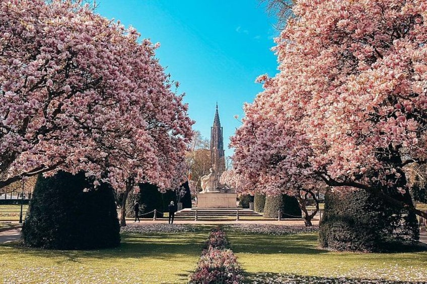 Strasbourg: small group walking tour between history and curiosities 2