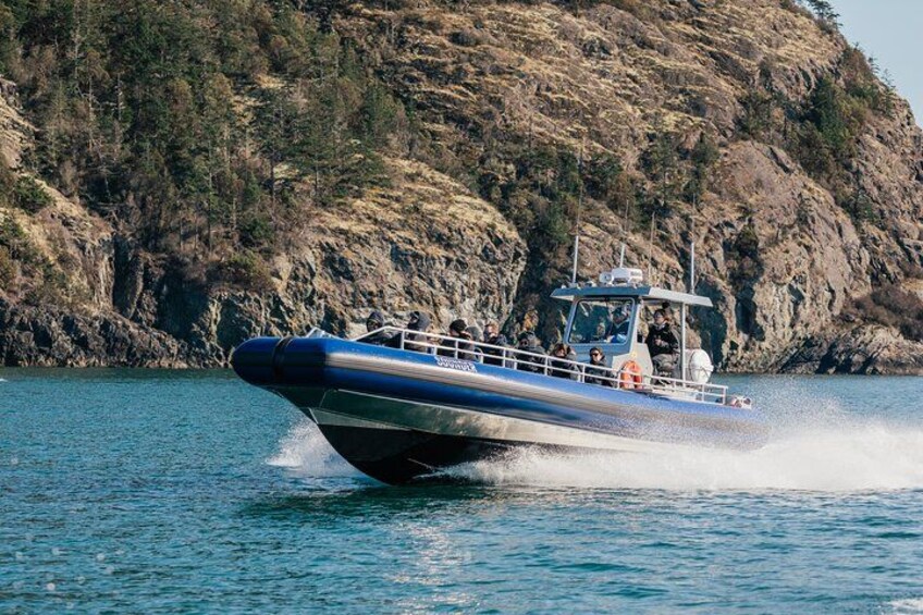 Een speedboot op kalm water, met een rotsachtige kustlijn op de achtergrond. 3