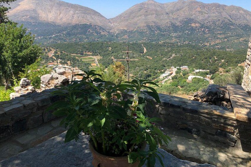Private Tour Explore the Secrets of Wine, Olives & Honey 1