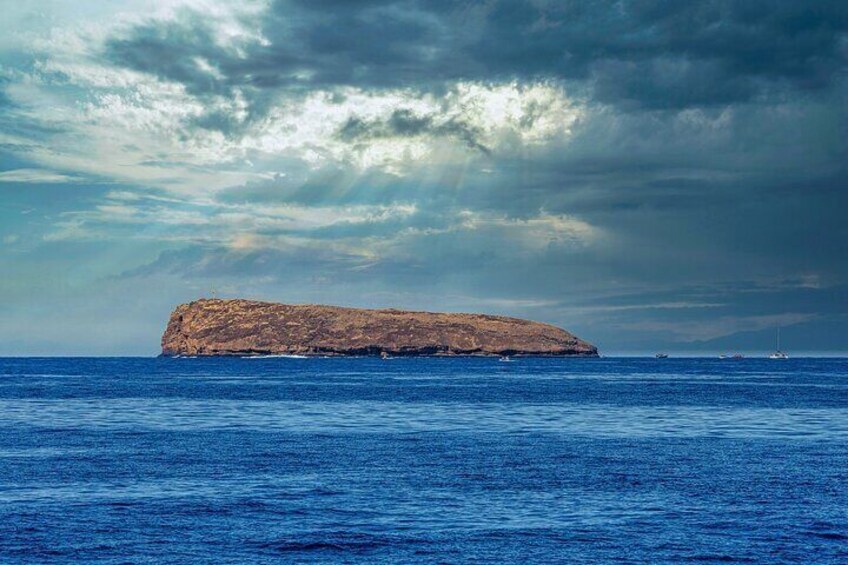 Four Winds II Molokini Snorkeling Tour from Maalaea Harbor
