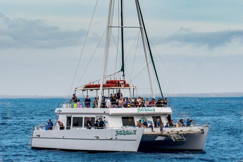 Four Winds II Molokini Snorkeling Tour from Maalaea Harbor