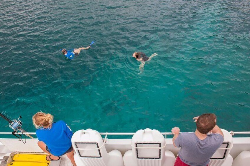 Four Winds II Molokini Snorkeling Tour from Maalaea Harbor