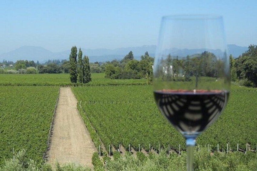 Ein Weinberg mit Reihen von Weinreben, einem Feldweg und einem Glas Rotwein. 1