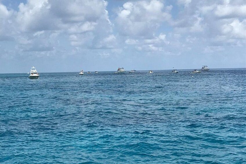 Another Calm day on the reef 4
