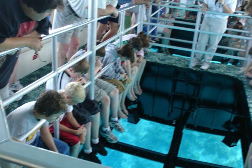 Key Largo Coral Reef Glass Bottom Boat Adventure 5
