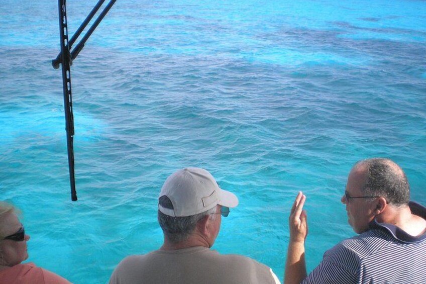 Enjoying the view from the front topside 1